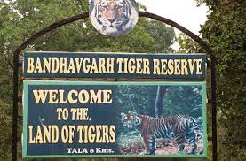 Bandhavgarh Tiger reserve, Madhya Pradesh, India
