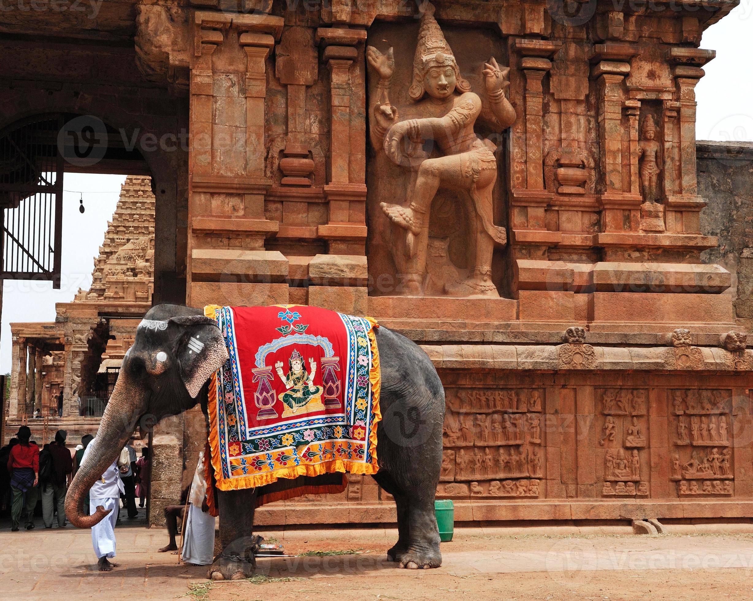 Elephant in front of Breehadeshwar  Shiv temple Thanjavur