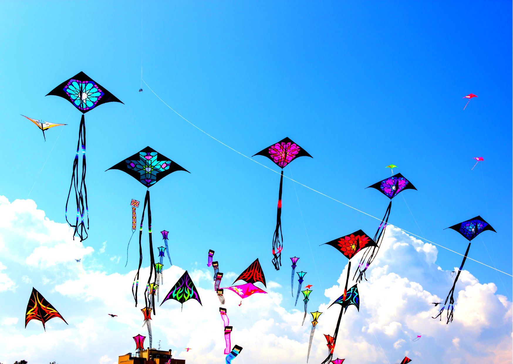 Uttrayan kite festival of Gujarat kites in sky