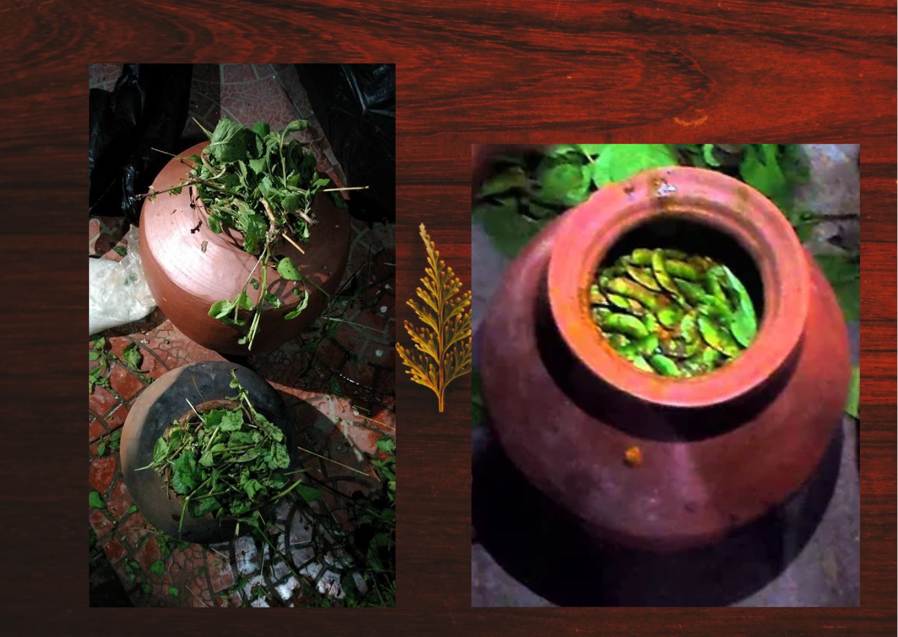 images of claypots and metal pots with popti