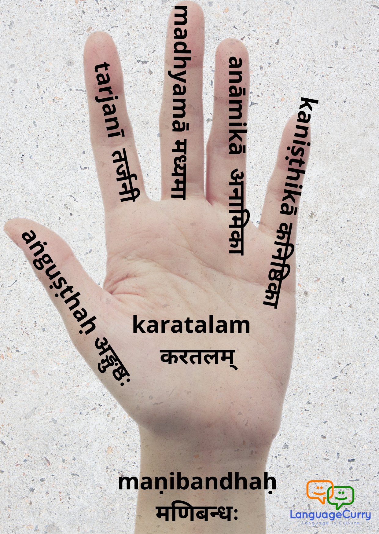 Names of parts of hand in Sanskrit