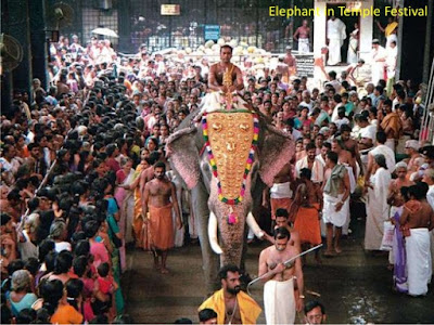 GGuruvayur-temple, Elephant carrying the deity